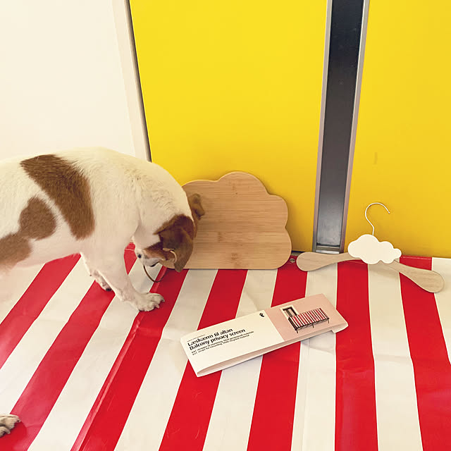 kittyさんの部屋