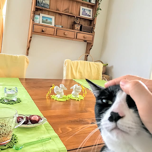 hiyo.pietさんの実例写真