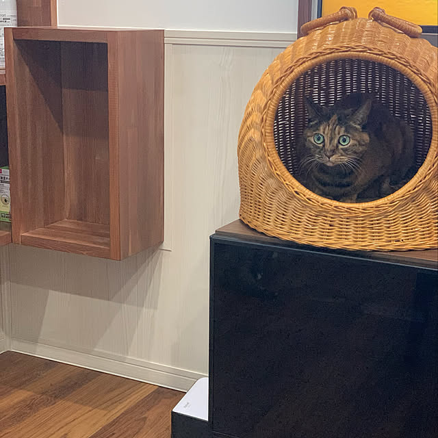 mikeume7さんの実例写真