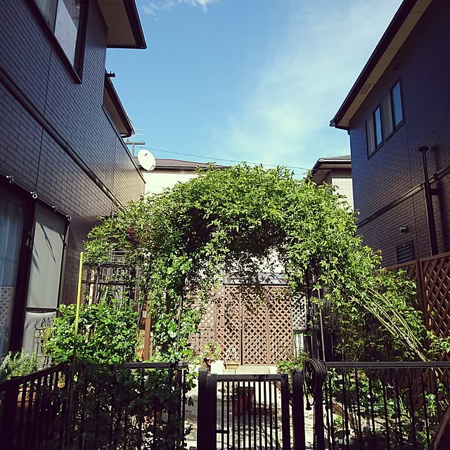 mayuroseさんの実例写真