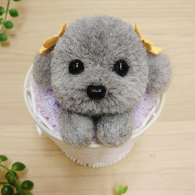 Kazuさんの実例写真