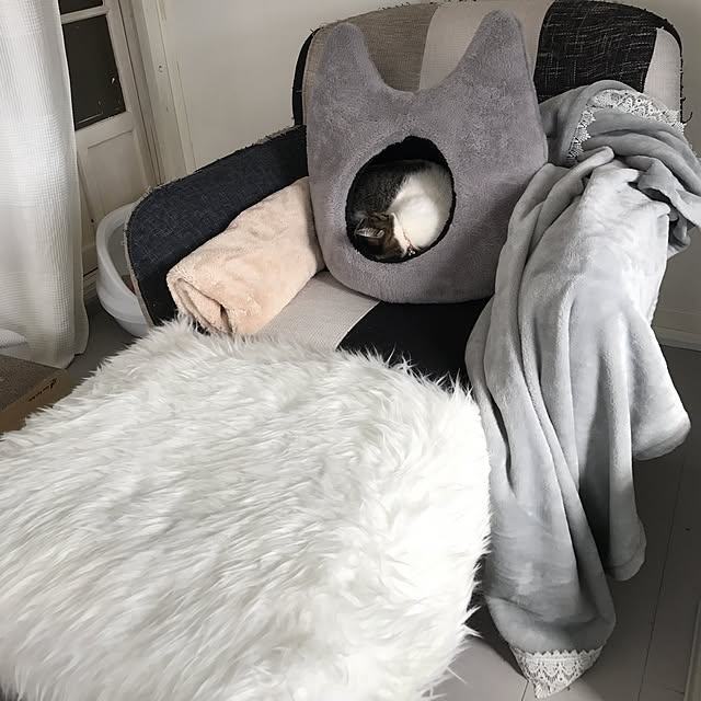 Shihoさんの実例写真
