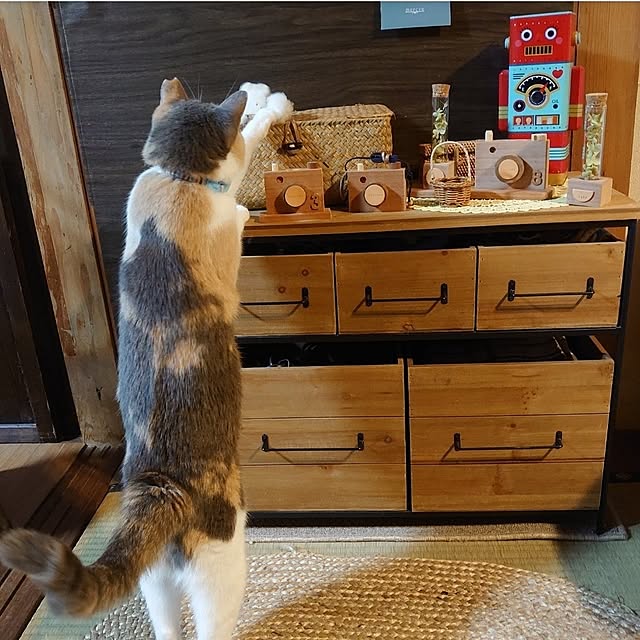 fukuさんの実例写真