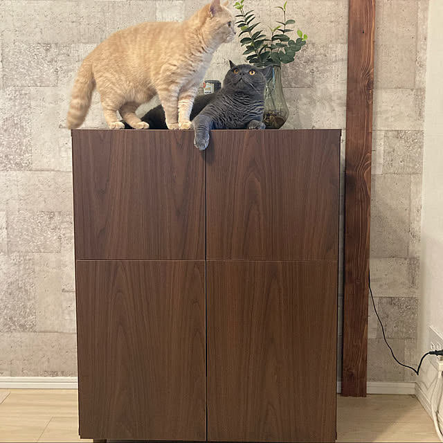 m.chanさんの実例写真