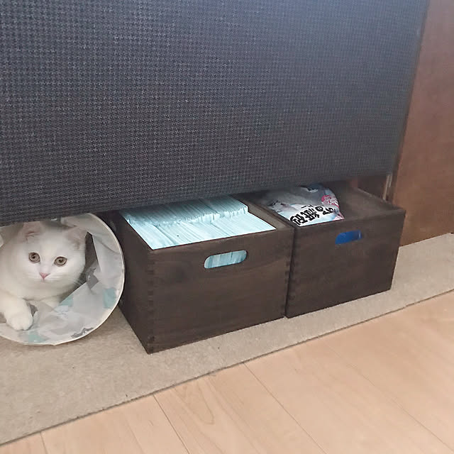 kotoriさんの実例写真