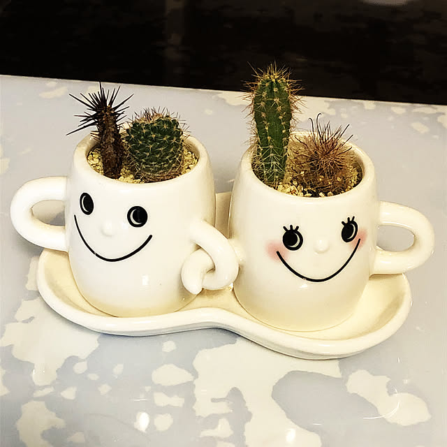 リビング/観葉植物/雑貨のインテリア実例 - 2018-12-16 13:13:29
