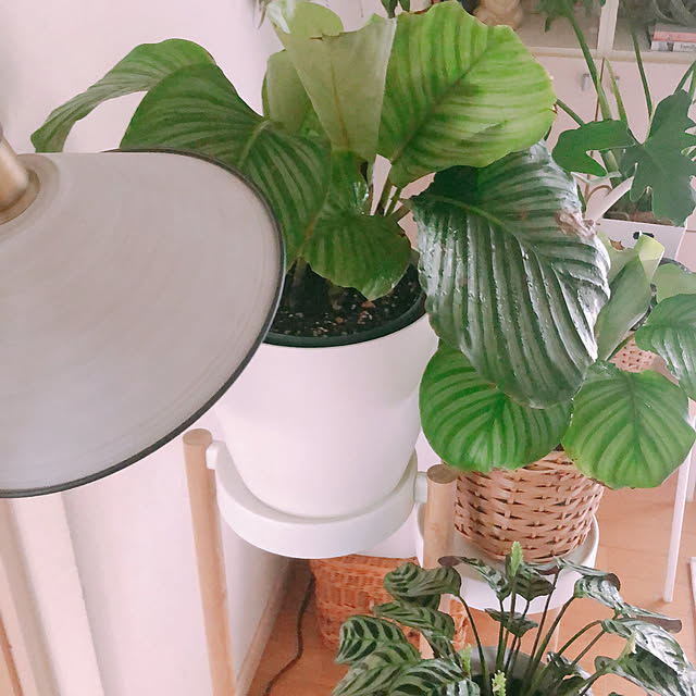 milkcocoaさんの部屋