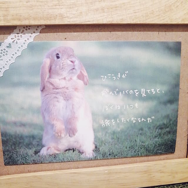yokkoさんの部屋