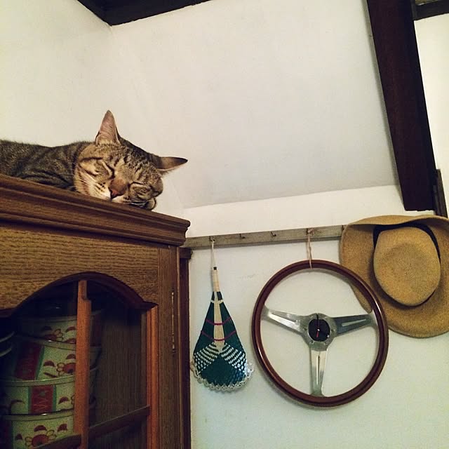 syokoさんの実例写真