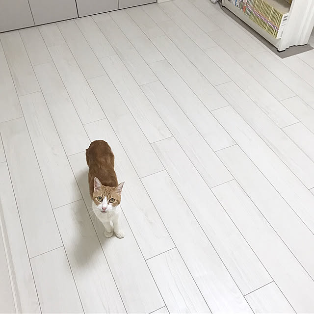 3122さんの実例写真