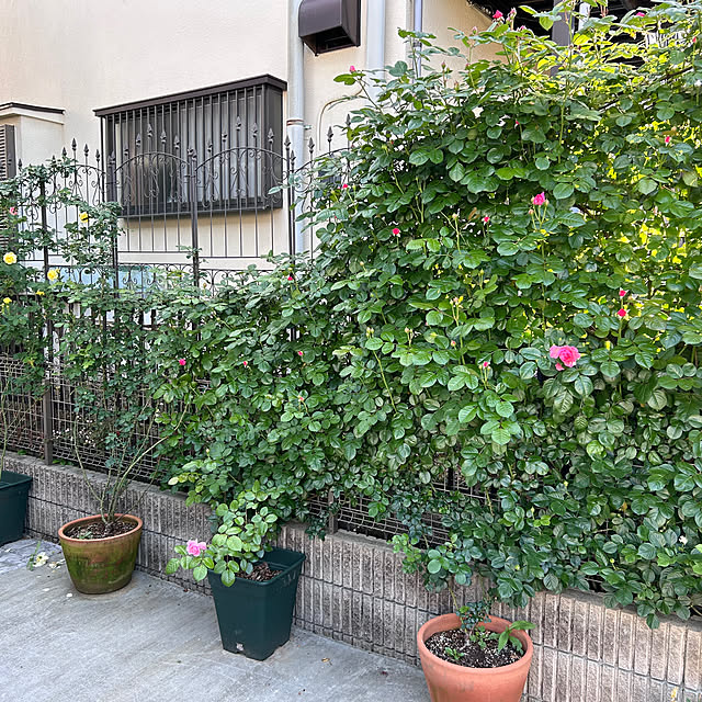 aloha1110さんの部屋