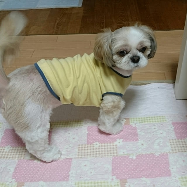 ronさんの実例写真