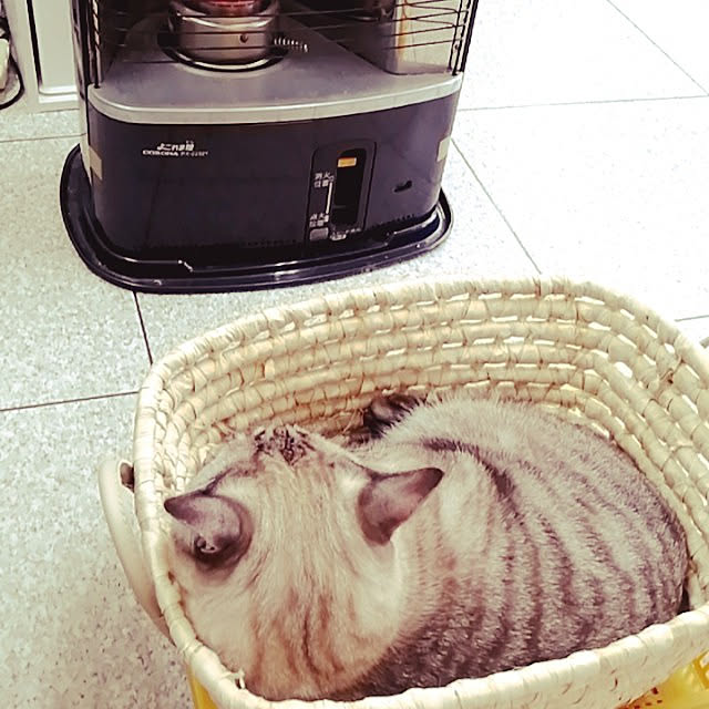 Manaさんの実例写真