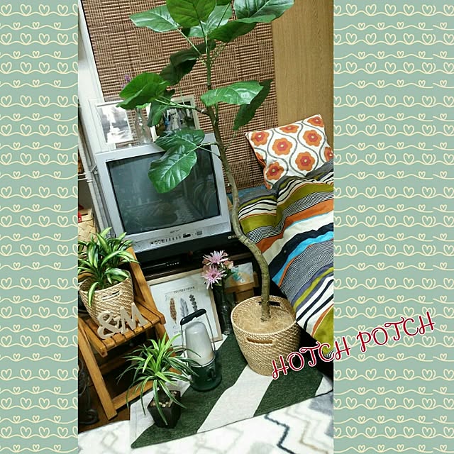carollcarさんの実例写真