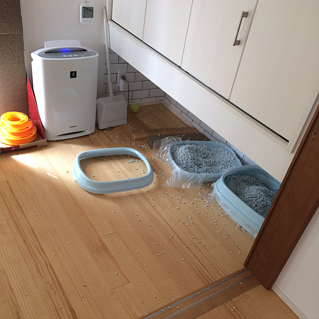 aruさんの実例写真
