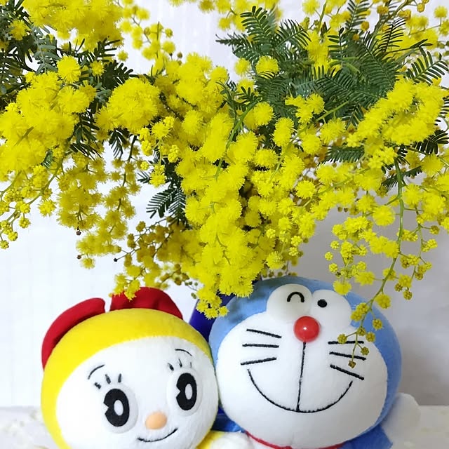 katさんの部屋