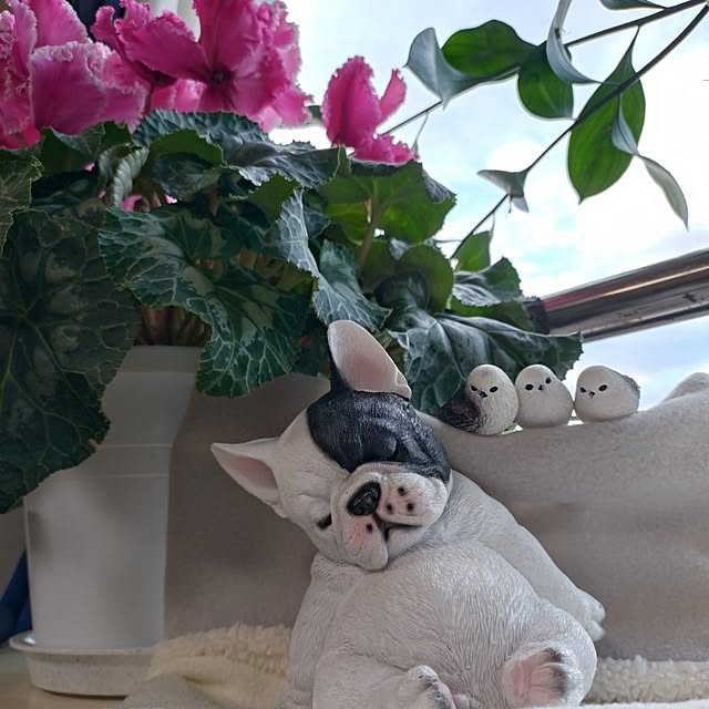 NOAHさんの部屋