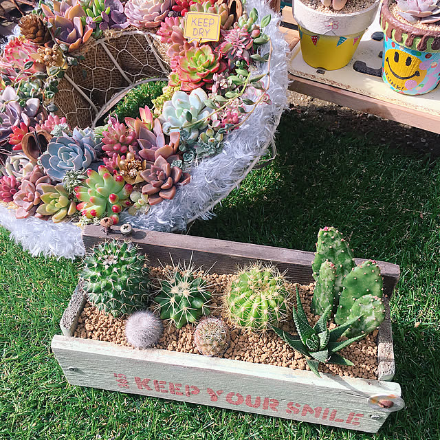 bon-bon-hippieさんの実例写真