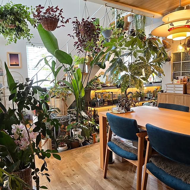 nonbiri_house_さんの部屋