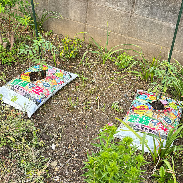 SIELUさんの部屋