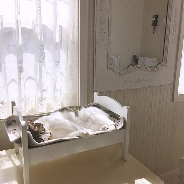 yuchiさんの実例写真
