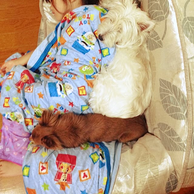 Hanaさんの実例写真