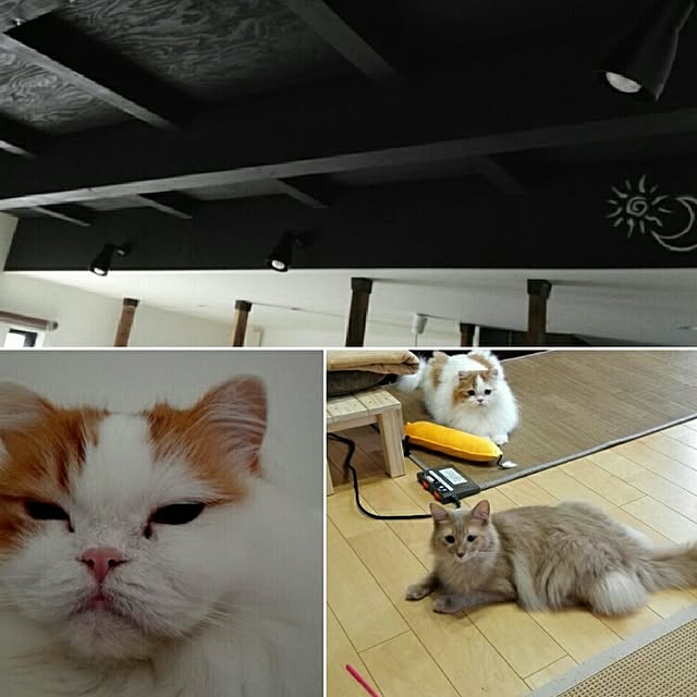 1ldksさんの実例写真