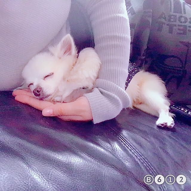Ayaさんの実例写真