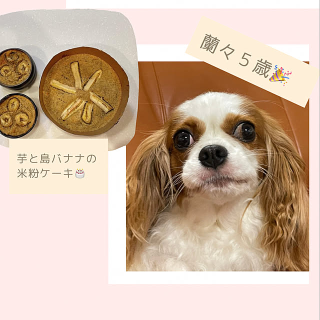 Ran.Happyさんの実例写真