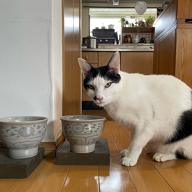 nobikoさんの実例写真