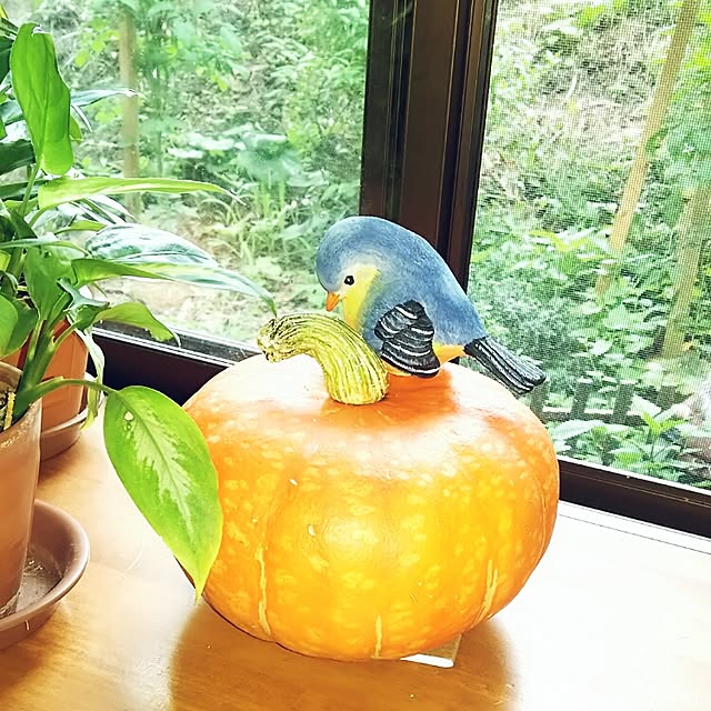 kaorinさんの実例写真