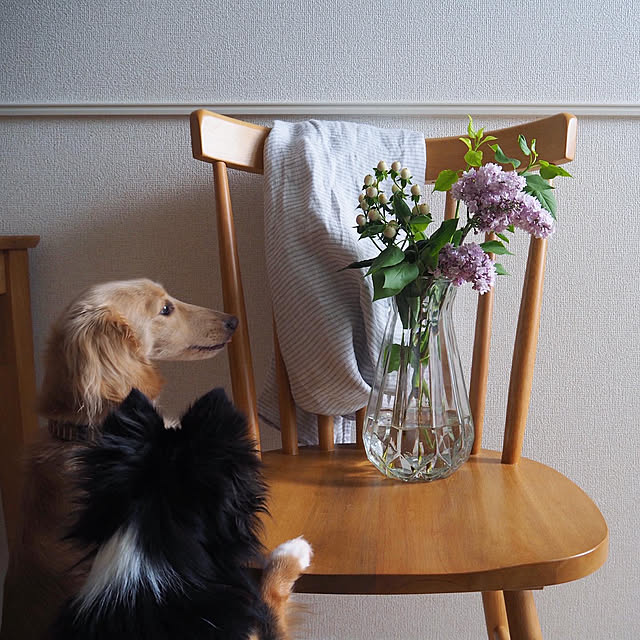 mimiedenさんの実例写真