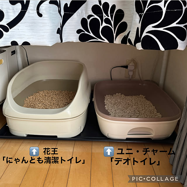 yukarin-gardenさんの部屋