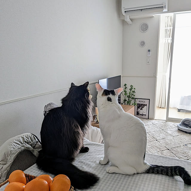 kumiさんの実例写真