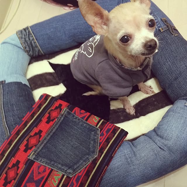 Ruimariさんの実例写真