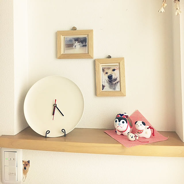 yuuさんの実例写真