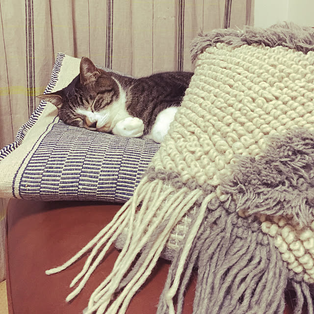 Boboさんの実例写真