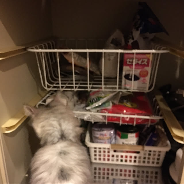 prchさんの実例写真