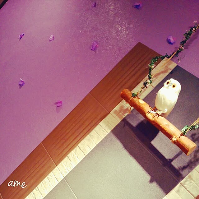ameさんの実例写真