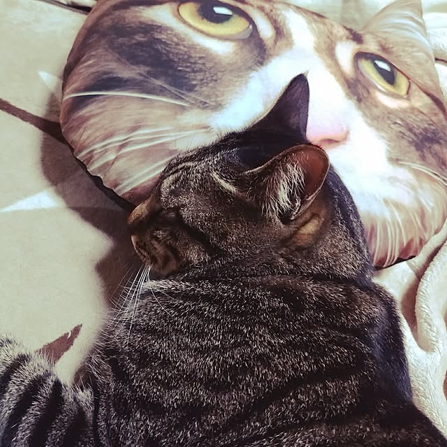 ymk616さんの実例写真