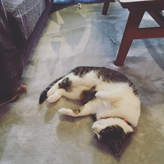 Rettiさんの実例写真