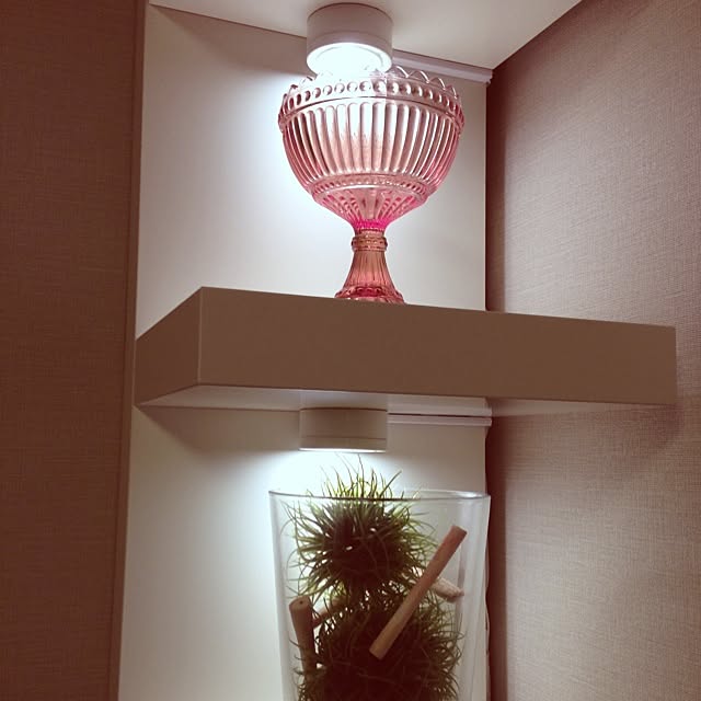 noon88さんの実例写真