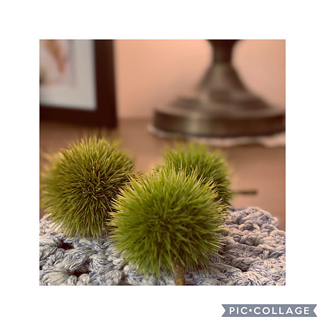 Natashyaさんの実例写真