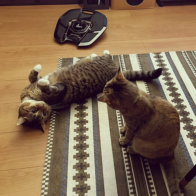 mochicoさんの実例写真