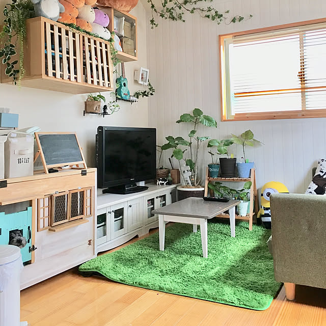 makoriさんの実例写真