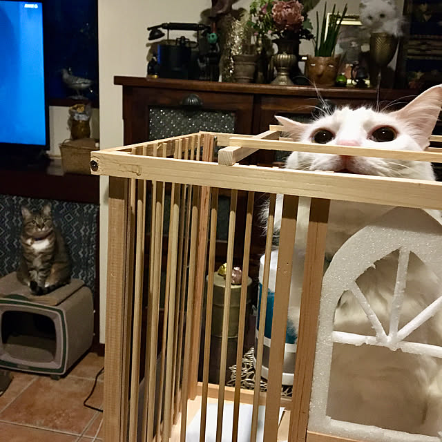 shigimiさんの実例写真