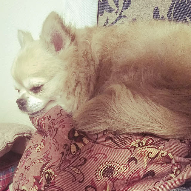 kiraさんの実例写真