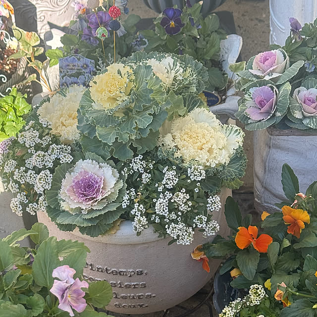 cocoさんの実例写真