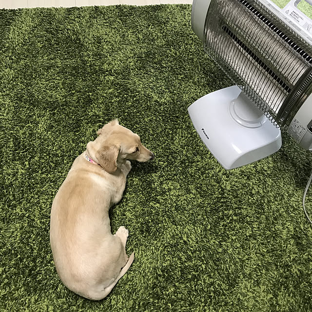 hechanさんの実例写真