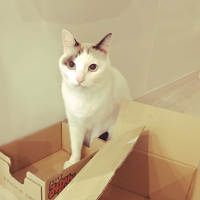 niko-25さんの実例写真